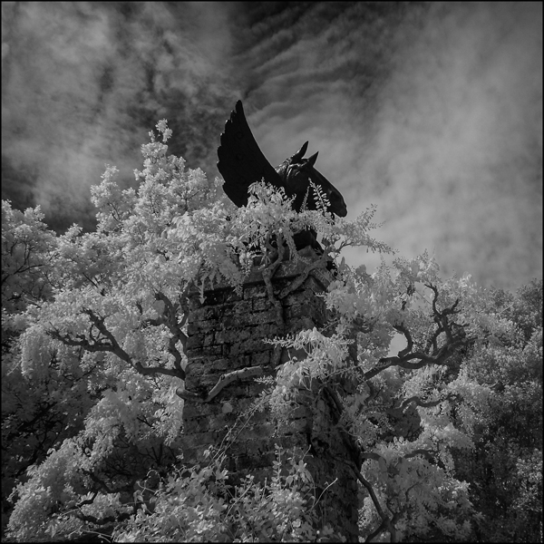 Barry Freeman/Horse Head on gate post Helmingham Hall